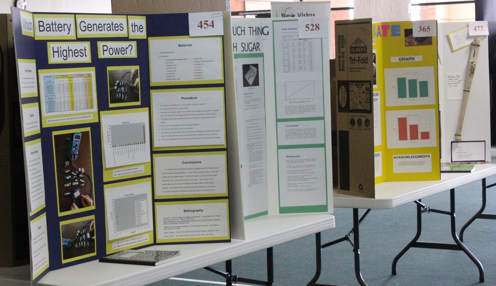 New Vistas Center for Education: SCIENCE FAIR