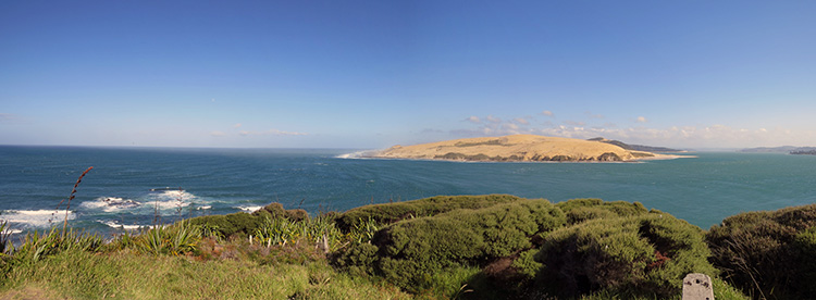 NOTRHLAND (IV): WAIPOUA FOREST Y BAYLEYS BEACH - NUEVA ZELANDA: NAVIDADES EN LAS ANTÍPODAS (2)