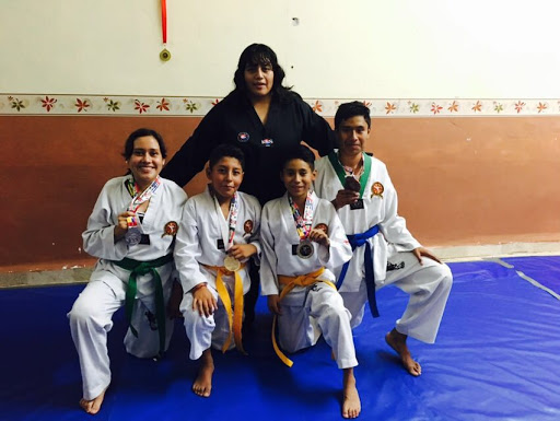 Colegio Cima Ixcaquixtla Taekwondo Panteras, Hidalgo 8, El Jardín, 74900 Río Blanco, Ver., México, Escuela de taekuondo | VER