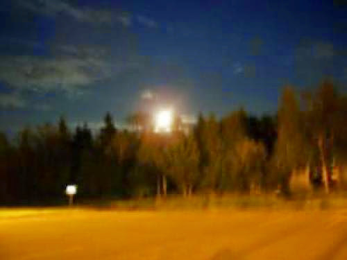 Strange Light Craft And Alien Gray Caught On Camera In Canadian Wilderness
