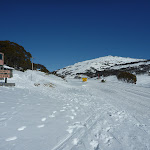 Intersection of Wheatley and Kosciuszko Roads (300271)