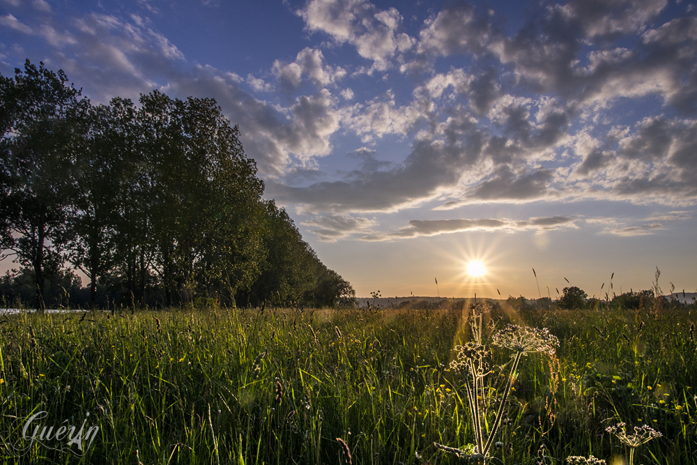 Un soir de printemps en Lorraine WebSEB0693