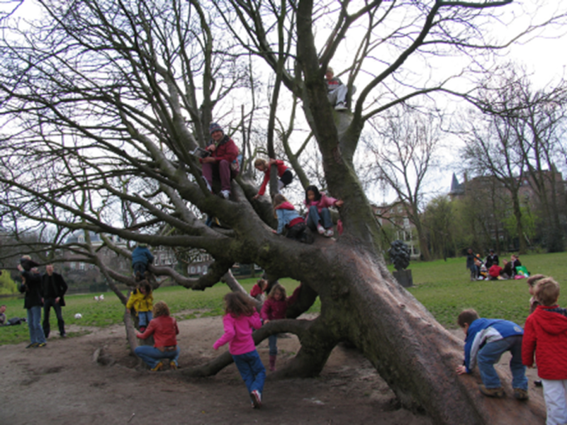 Children climbing a tree