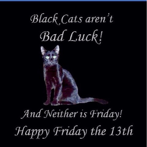 RAINA'S CAT RESCUE: Black cats aren't bad luck and neither is Friday ...