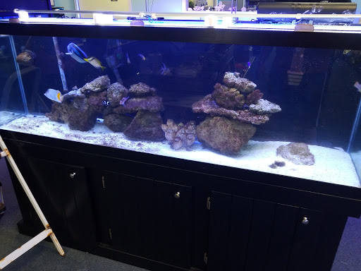 Pet Supply Store «Ocean Rift Aquatics», reviews and photos, 1178 S Main St, North Canton, OH 44720, USA