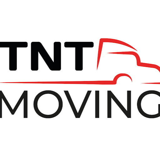 TNT Dyn-o-mite Moving Ltd logo