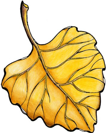 Maestra de Infantil: Hojas de otoño. Dibujos para el árbol de otoño.