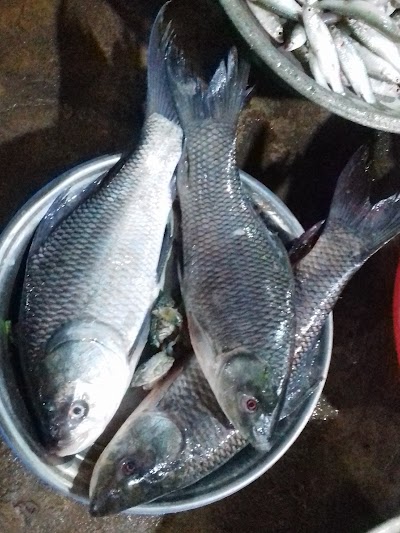 Photos of Kalur Dokan Mas Bazar