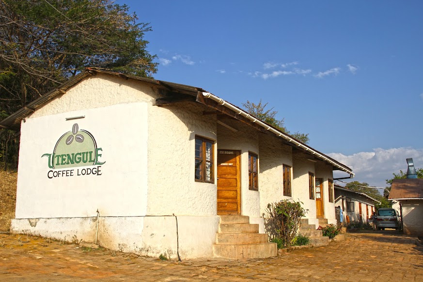 Visitar MBEYA e fazer uma viagem ao mundo do café da África Oriental | Tanzânia