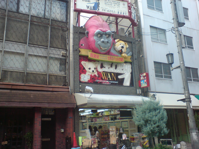 Un viaje al Japón menos habitual - Blogs of Japan - Osaka, el placer de reencontrase con lo ya conocido (3)