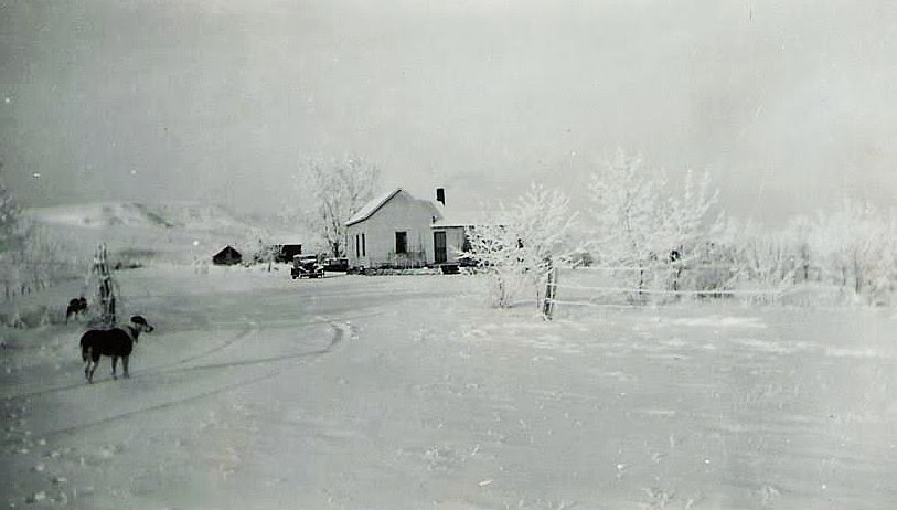 Winter Scene in Montana