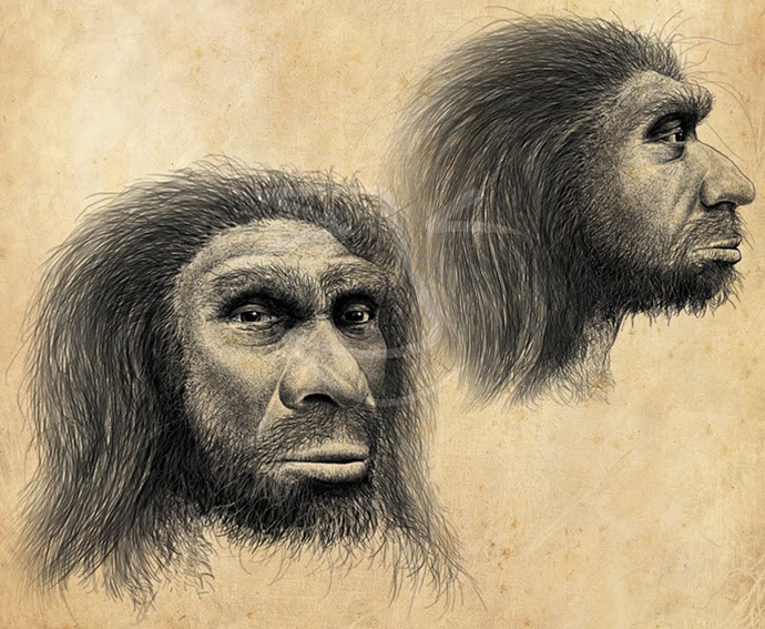 Homo heidelbergensis. Ilustración de Stuart Jackson-Carter.