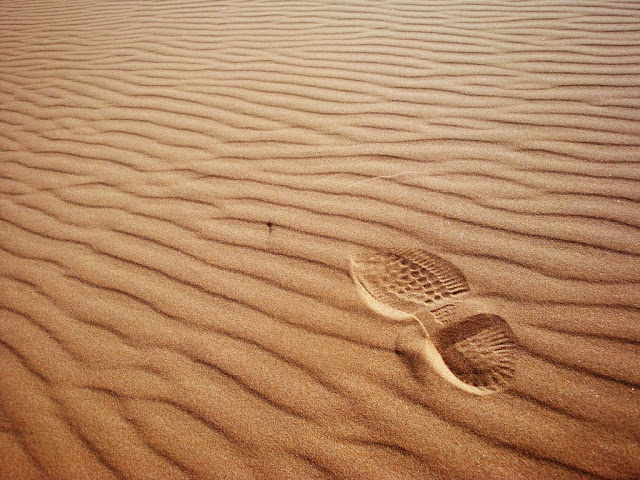 15 

Amazing Examples of Desert Landscape Photography 