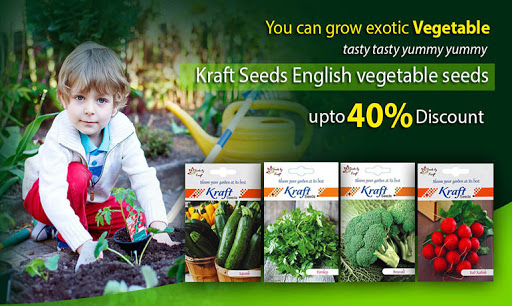 Kraft Seeds - Flower Seeds Online, 3675, Main bazar, Old Sabji Mandi, opposite Kamla Nehru Park, Delhi, 110007, India, Agricultural_Seed_Store, state UP