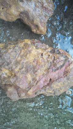 pedras para aquario IMG_20140501_160626_804