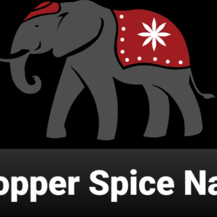 Copper spice Navan logo