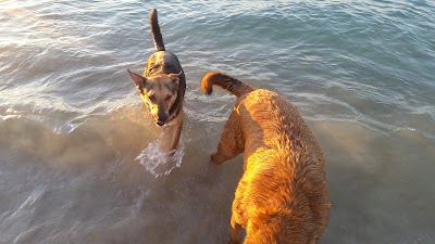 Photos of Town Beach