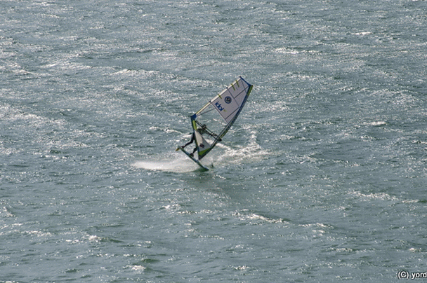 226-IMG_1948-MOTION.gif