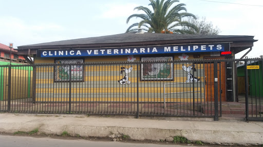Clínica Melipets, Pardo 242, Melipilla, Región Metropolitana, Chile, Doctor | Región Metropolitana de Santiago