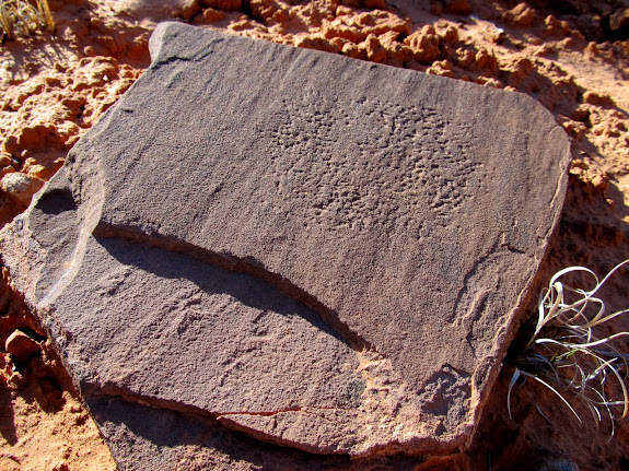 Peck marks on a rock near the Spur Fork/Northeast Spur Fork confluence