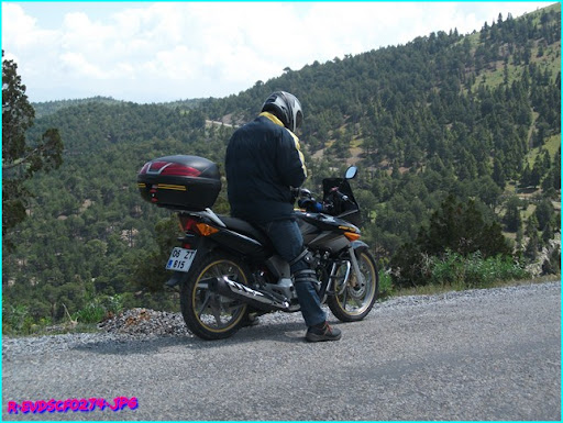DSCF0274.JPG