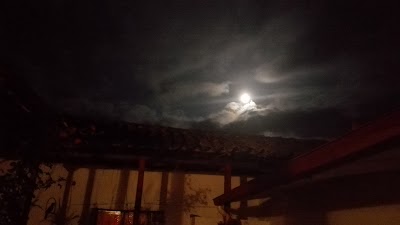 Photos of L Y M