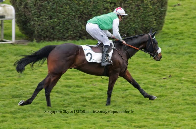 Photos Auteuil 1-03-2015 IMG_7031