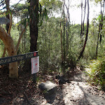 Int Currie Rd track and Natural Bridge track (127543)