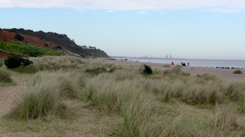 Gunton Denes looking back towards Corton