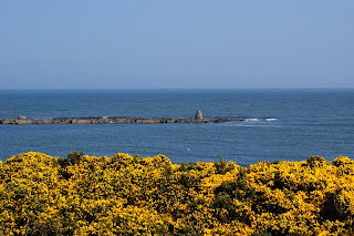 Spring in Northumberland at the Coast