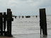 Broken and battered groynes