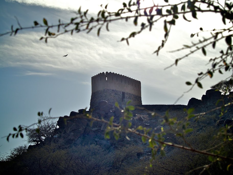 Fort at Al Biddiya Mosque