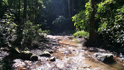 Photos of The Park CR