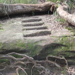 Rock cut steps (146925)