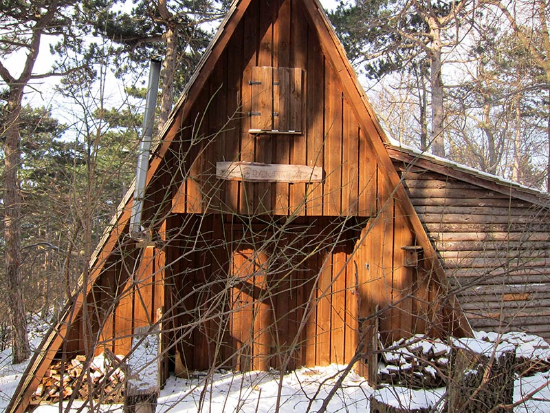 Jagdh&uuml;tte