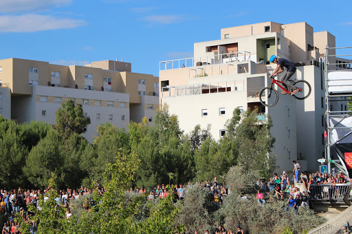 FISE MONTPELLIER