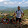 Dave Cooper Dave Cooper's profile photo