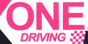 one driving 180x90 image 3312