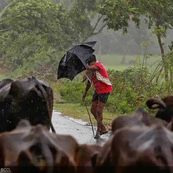 A boy tries to cover himself with an umbrella during heavy rain brought by Cyclone Phailin in Ichapuram town.