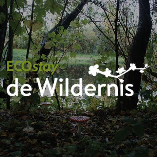 Ecostay de Wildernis