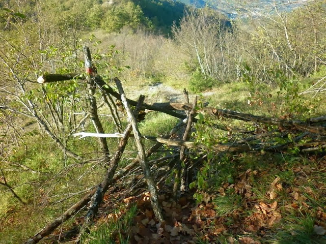 P1000726.JPG