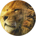 Lion Aslan