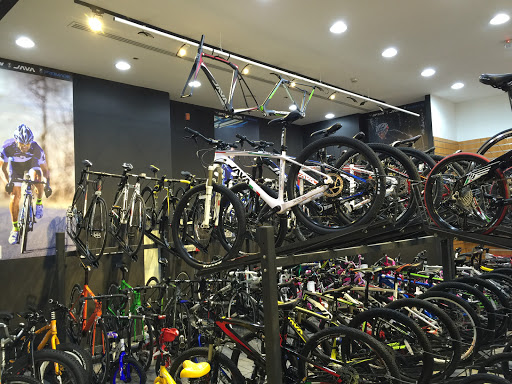 Java, Dubai - United Arab Emirates, Bicycle Store, state Dubai