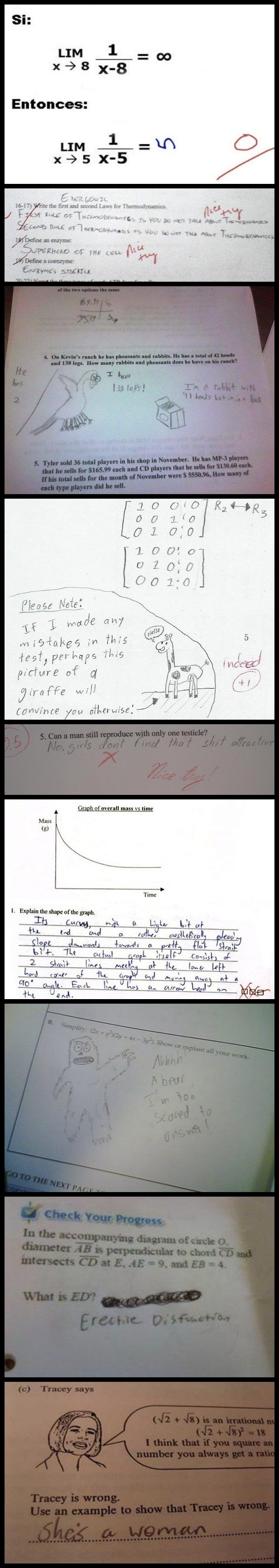 Funny Test Answers - Student For The Win