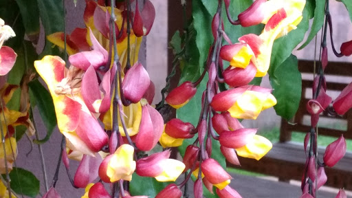 Pousada Tupinamba