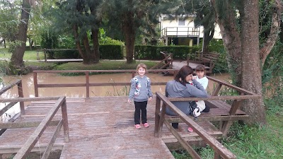 Photos of Susurros