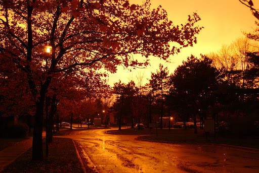 Platt's Lane Estates