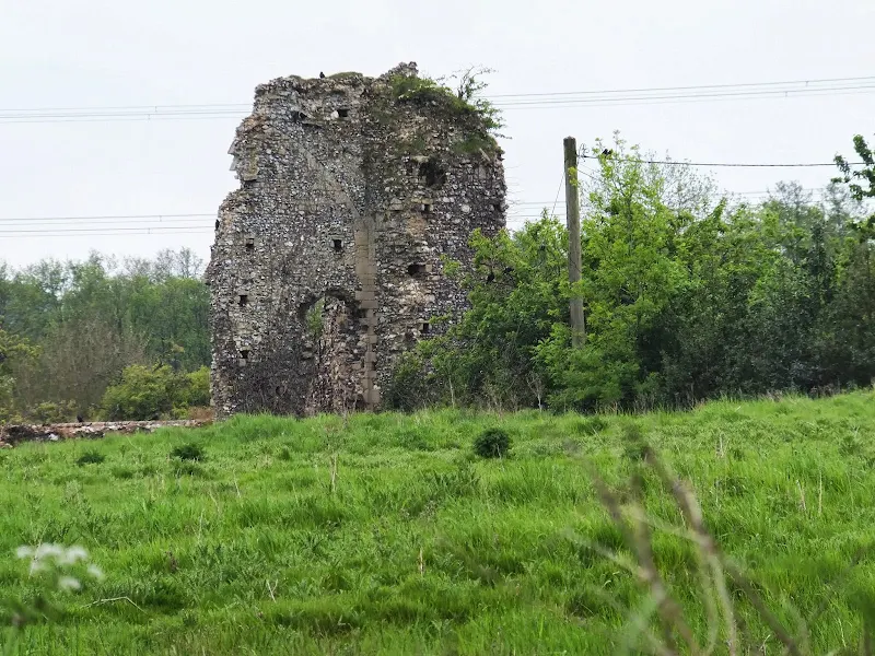 Ruins of West Acre Priory
