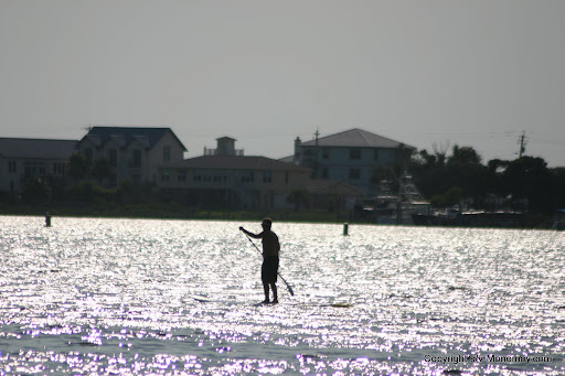 paddleboarder