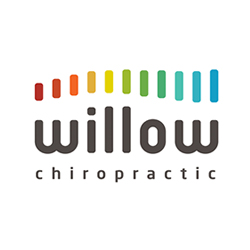 Willow Chiropractic -Yate logo